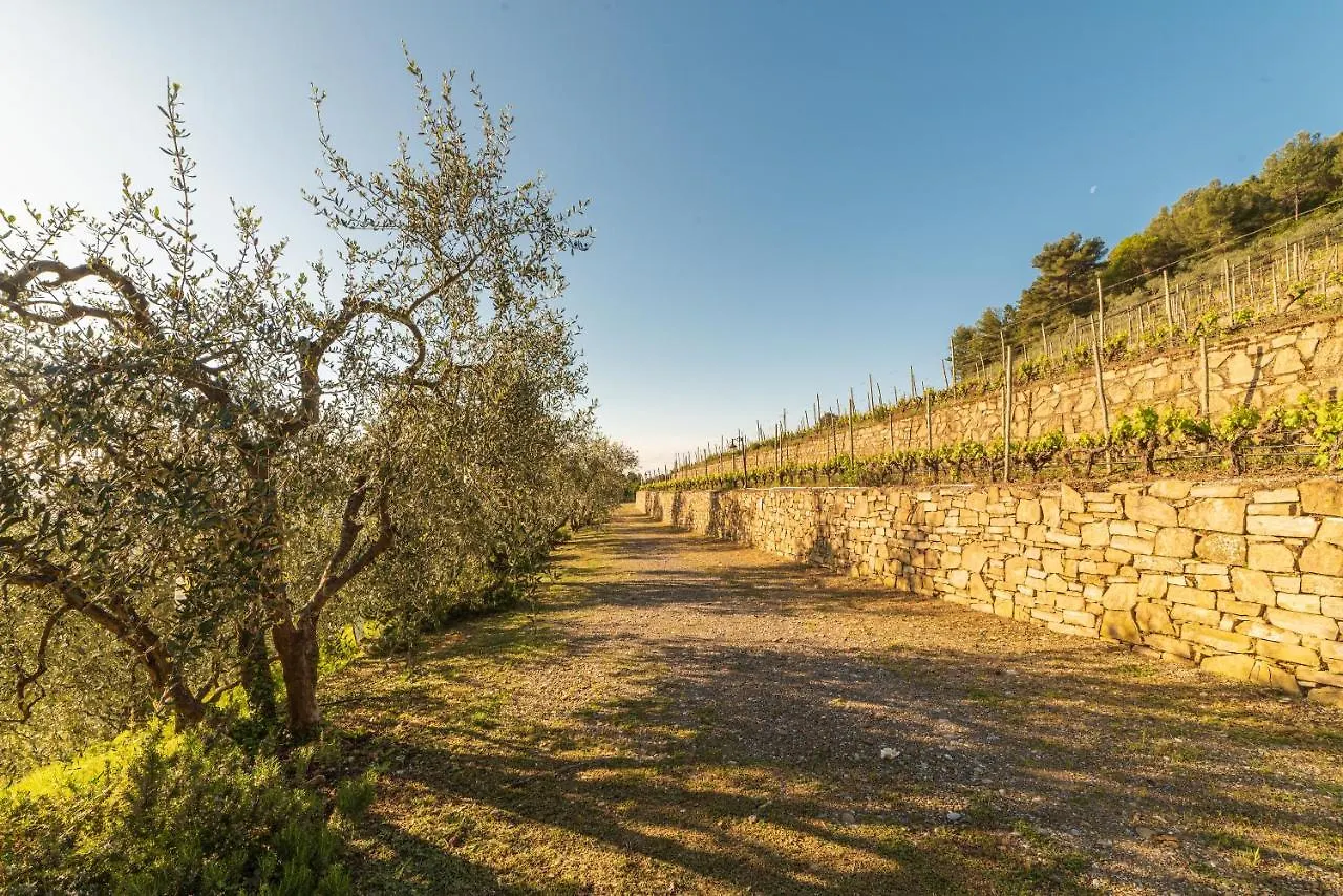 Casetta Mari Immersa In Un Vigneto Dolceacqua Italy