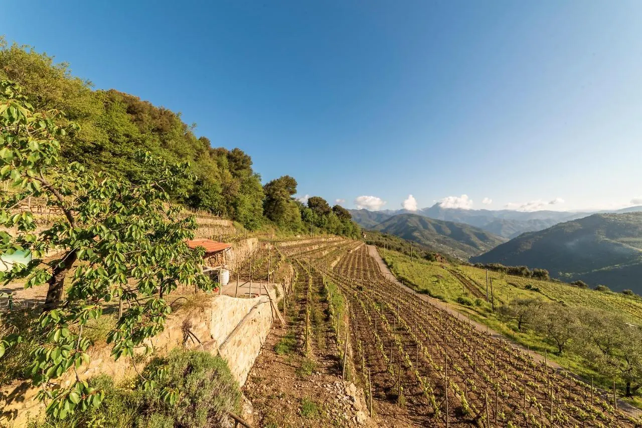 Casetta Mari Immersa In Un Vigneto Dolceacqua Holiday home