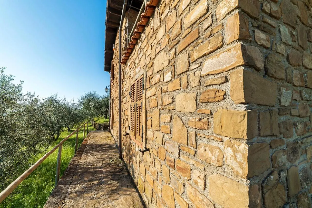 Casetta Mari Immersa In Un Vigneto Dolceacqua